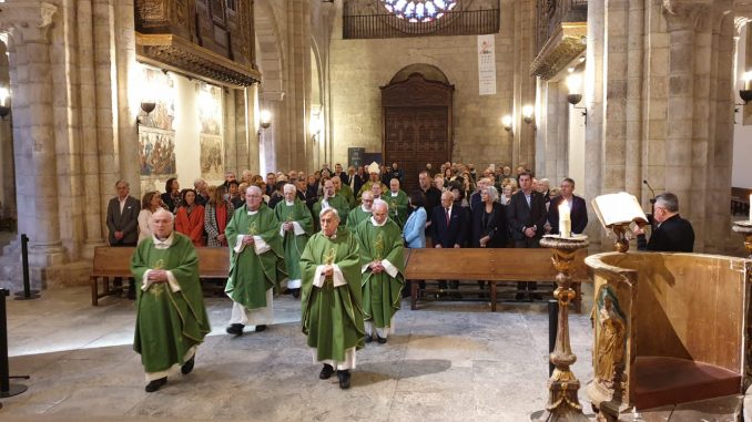 Entrada en catedral